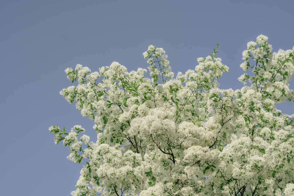 곁의생활 tweet media