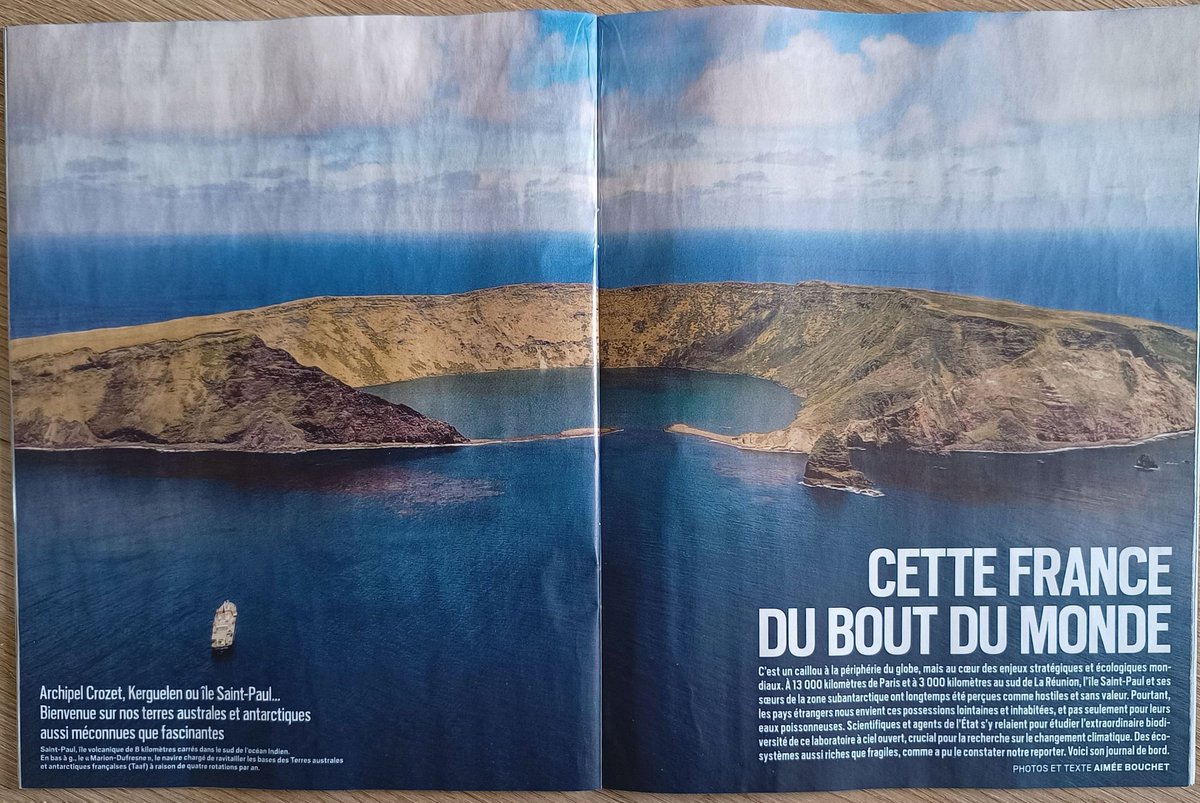 Polar Observer tweet media