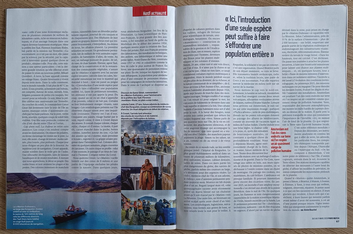 Polar Observer tweet media