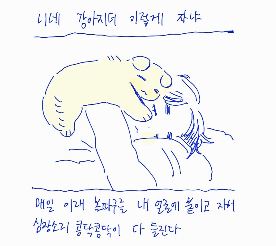 마카 tweet media
