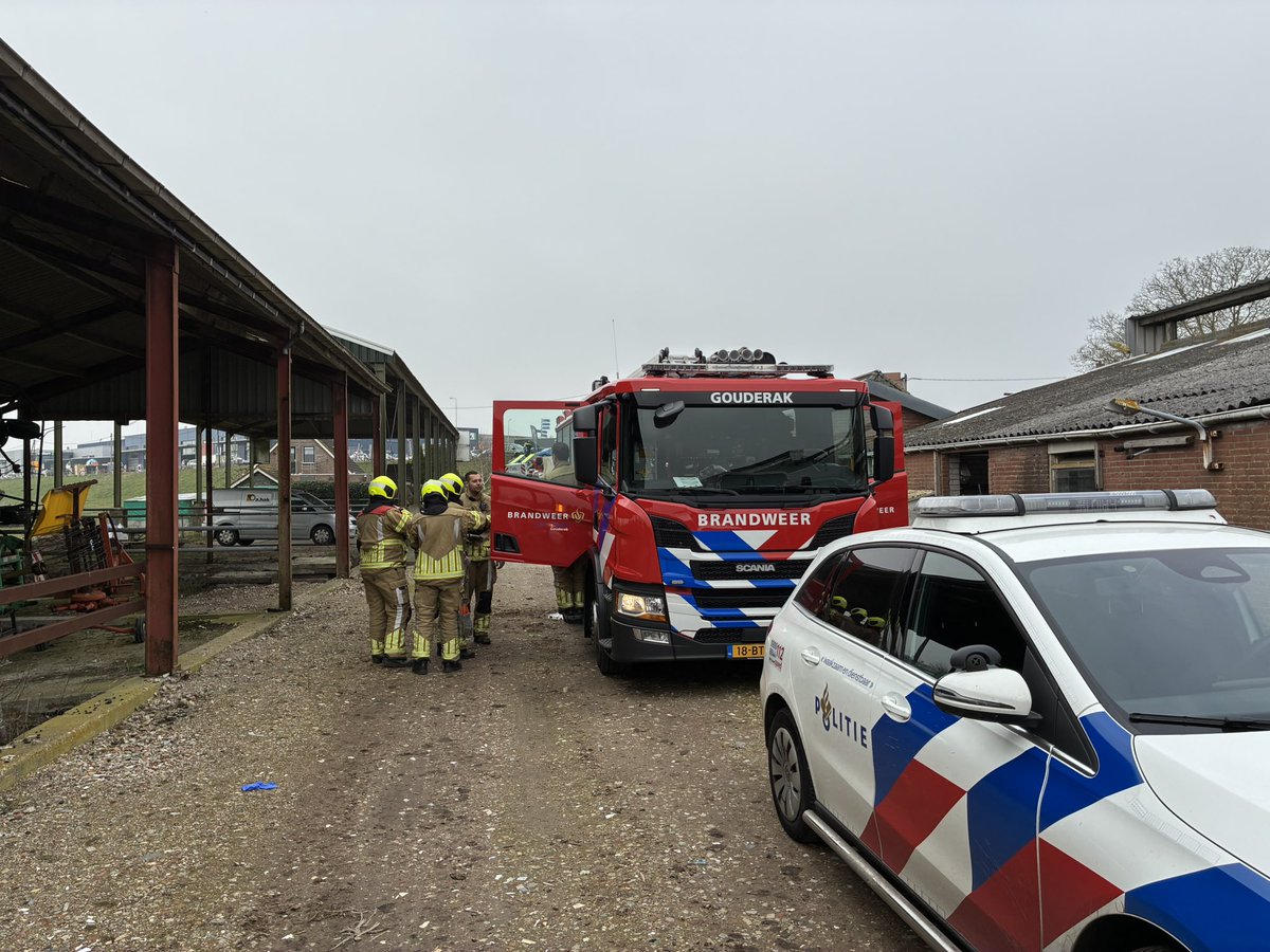 Robert Coomans tweet media