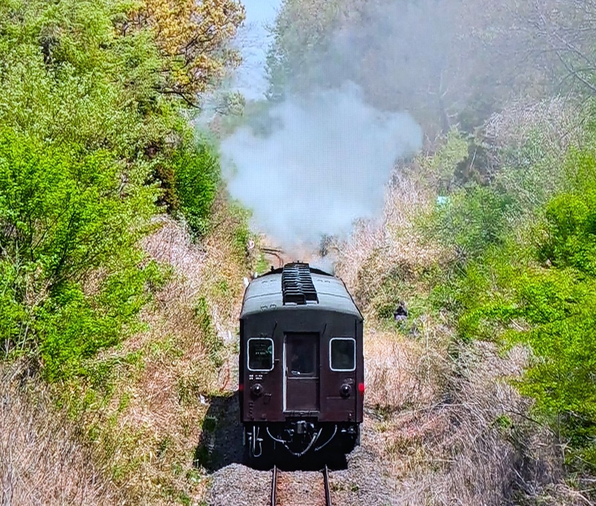 マゴメマゴメ (@ragio89488423) / Posts / X