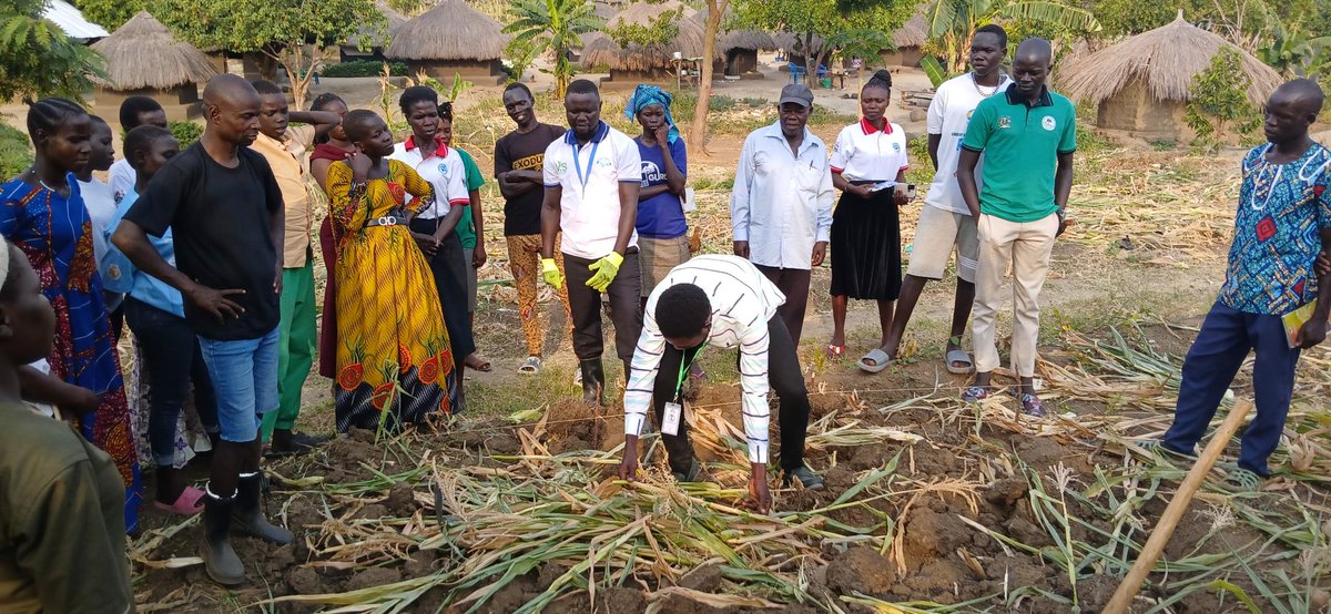 JohnNehemiahP's tweet photo. South Sudan still has an opportunity many countries lost.
Low chemical dependency means soils are not yet deeply damaged. If soil health is protected now, the country can build farming systems that are resilient and affordable for farmers.
This is not a delay. It is an advantage. https://t.co/G5uQupf5Gy