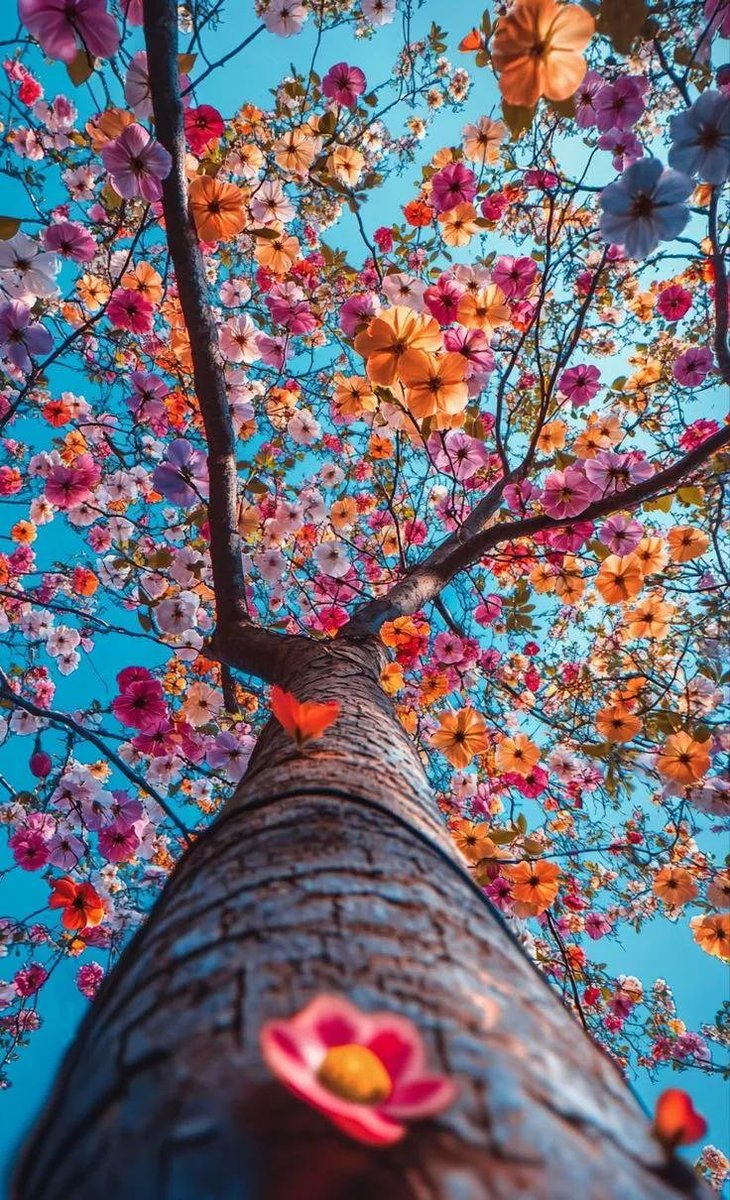 Aesthetics (@aestheticspost_) on Twitter photo 