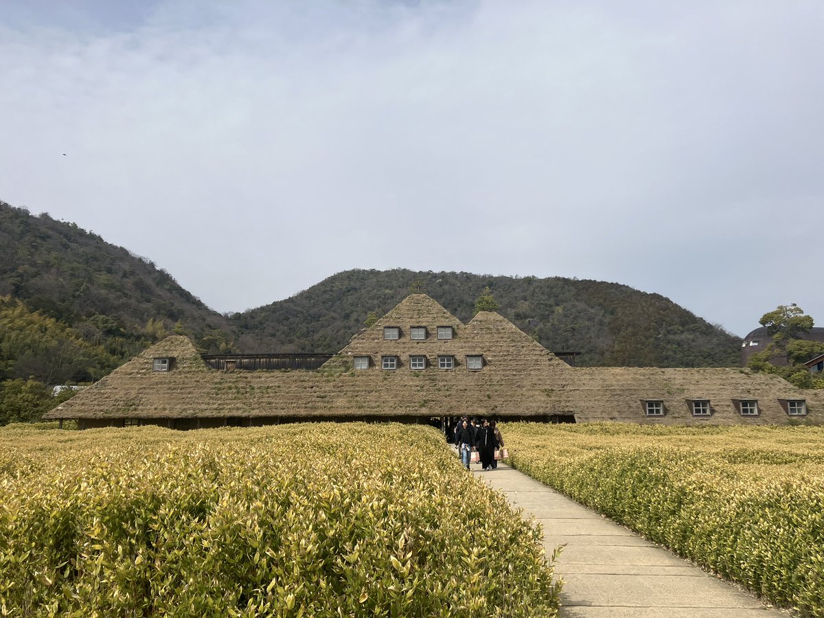 Hasu no hana tweet media