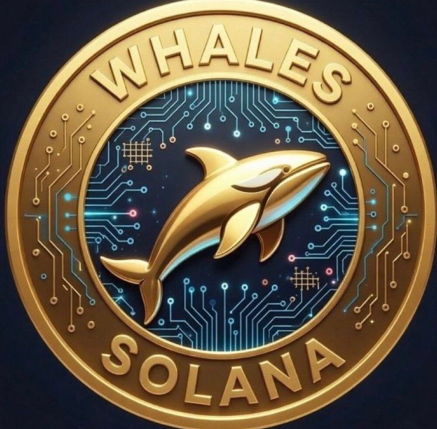 drkkfungal's tweet photo. @fexir1 $PISSIN
$SNOWMONKEY
$SHIKSA
$WHALES

all on SOL https://t.co/92QQTWtrT4