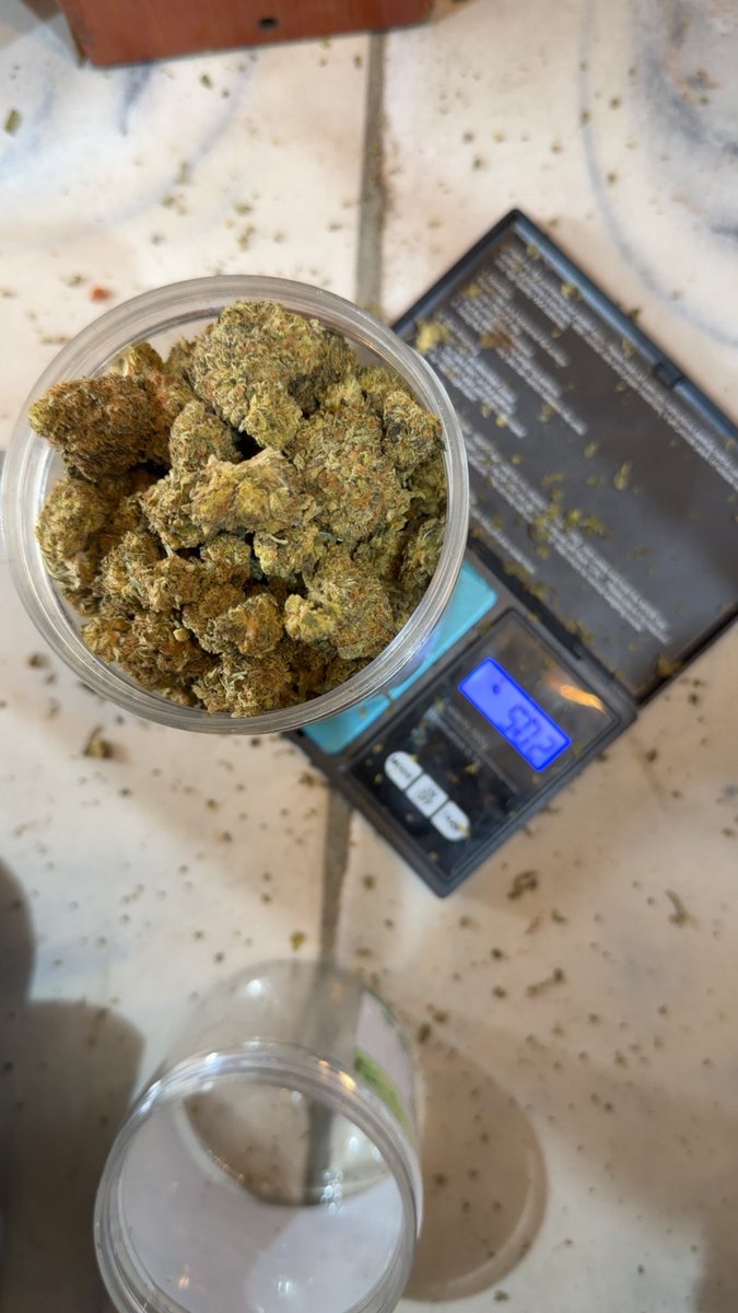 HARD BRAIN 🧠 STRAIN 🌳 tweet media