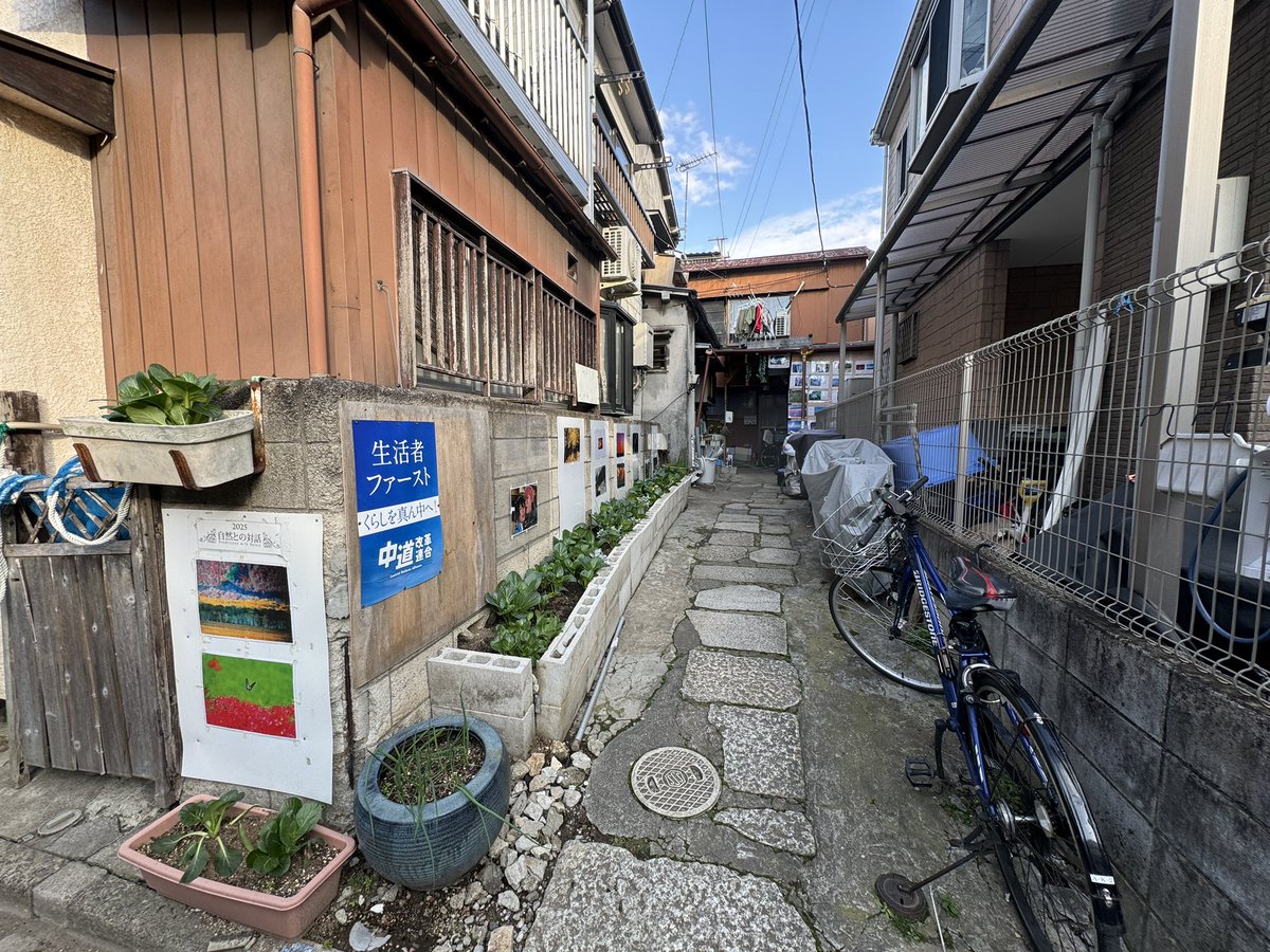 Japón con jamón 📖 tweet media