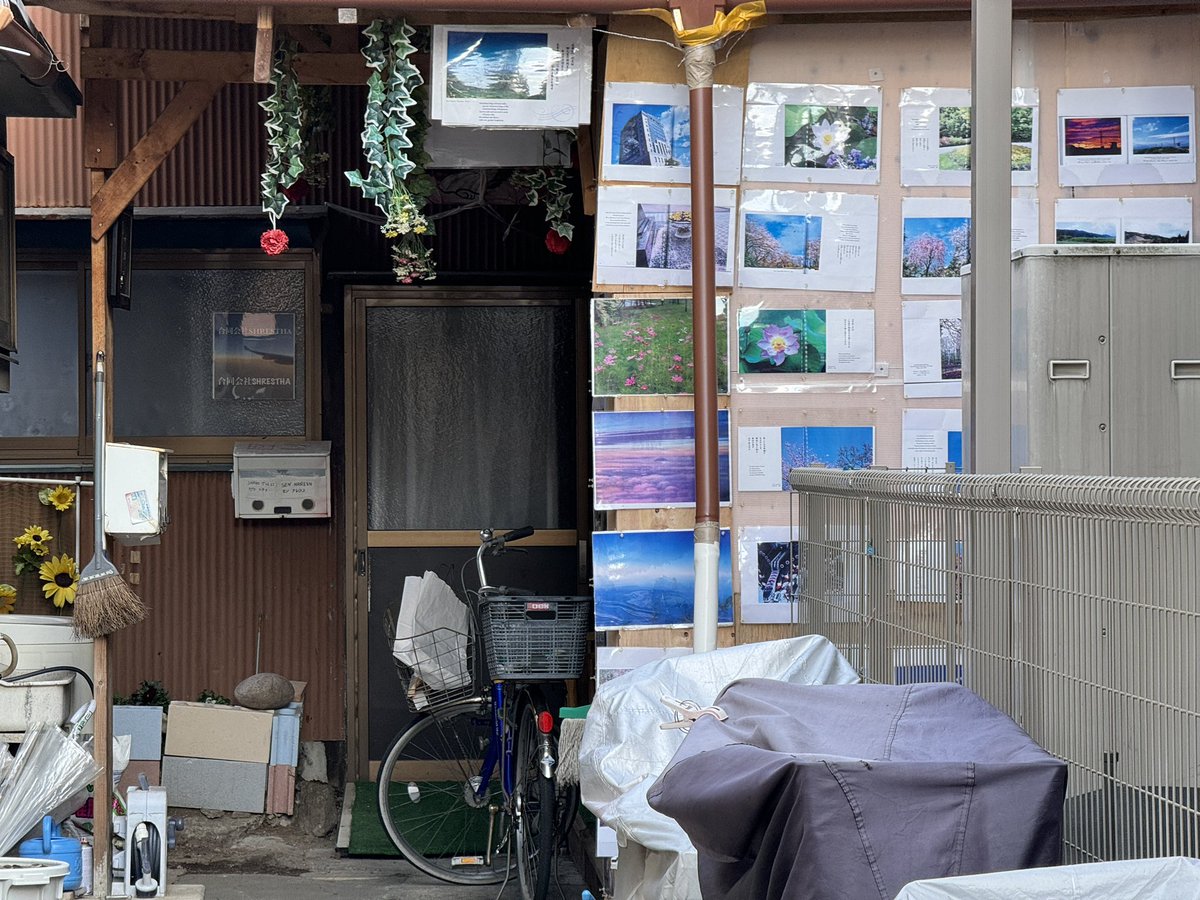 Japón con jamón 📖 tweet media