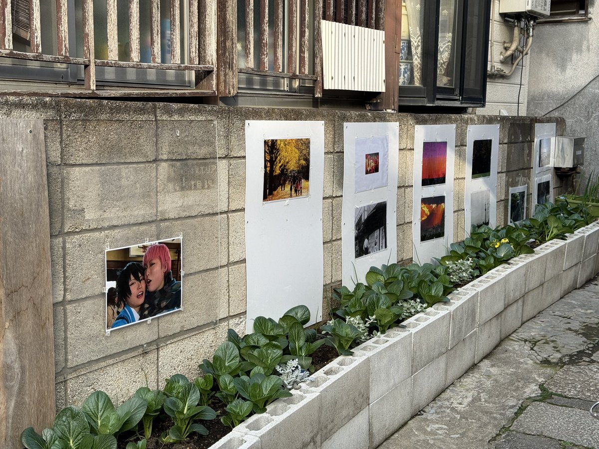 Japón con jamón 📖 tweet media