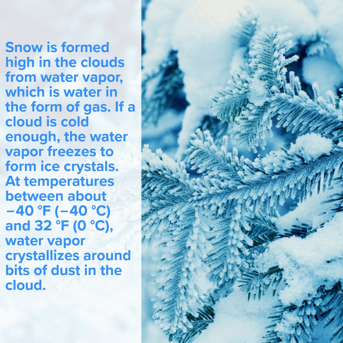 buddyblake's tweet image. Brr, that's chilly! ❄️

Did you know this cool fact about snow? 🤔 Share your thoughts below! 👇

#snowsnowsnow #wintertime❄️