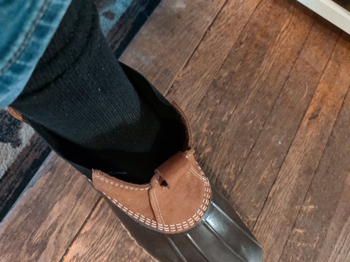 🍗 Buffalo Collar 🦬 tweet media