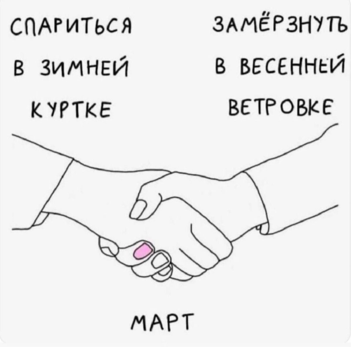 Gribanov ☢ ᓚᘏᗢ tweet media