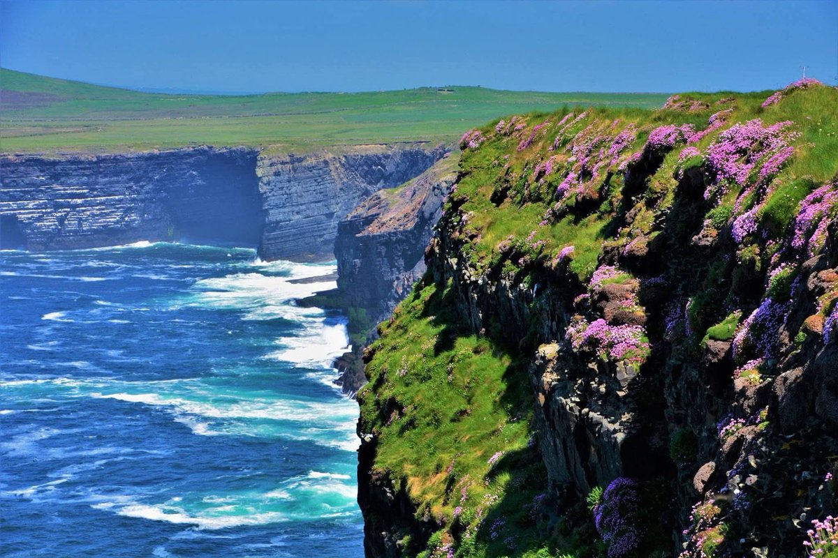 ThisIsIreland3's tweet image. These are the Kilkee Cliffs at Loop Head, how beautiful are these 🏞️🌊

📍County Clare, Ireland 🇮🇪

📸 Maries Photos

#Clare #Kilkeecliffs #Wildatlanticway #Ireland #Loophead #Kilkee