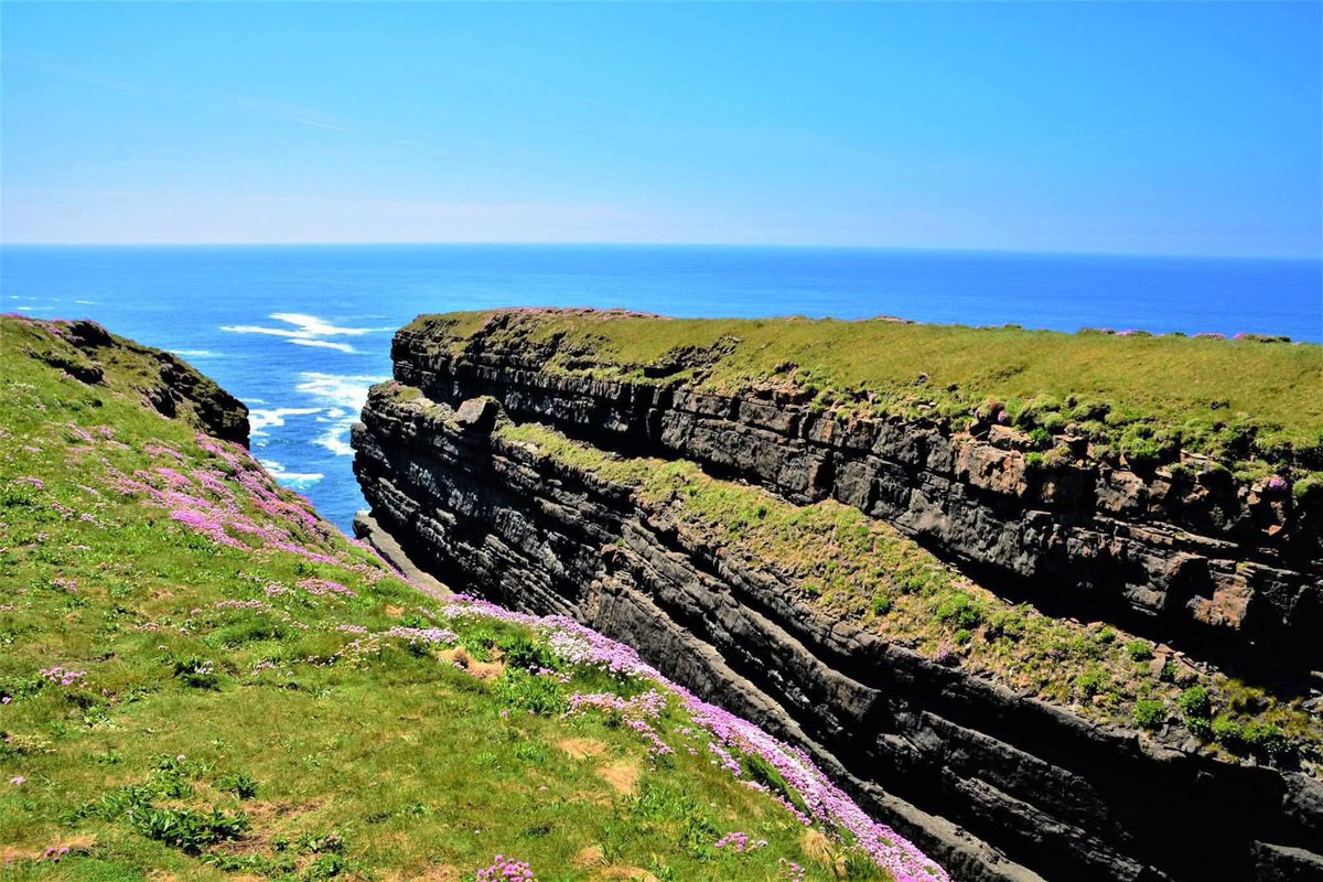 ThisIsIreland3's tweet image. These are the Kilkee Cliffs at Loop Head, how beautiful are these 🏞️🌊

📍County Clare, Ireland 🇮🇪

📸 Maries Photos

#Clare #Kilkeecliffs #Wildatlanticway #Ireland #Loophead #Kilkee