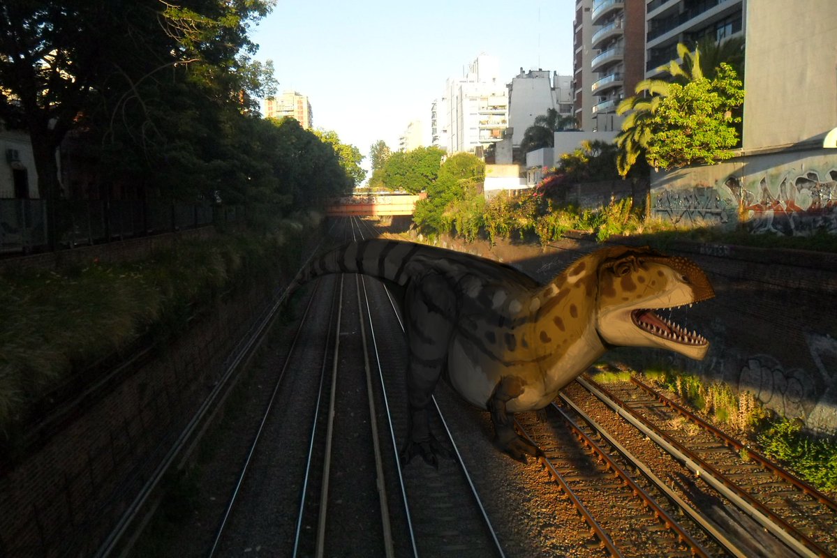 TYRANNOTITAN
Every time I cross this bridge I see this fat guy sunbathing. I call him "Snorlax", and from what I can see, his face is covered in scars today. I wonder who he fought with

#Art #ArtistOnTwitter #tyrannotitanchubutensis #dinosaurs #Carcharodontosaurid #tyrannotitan