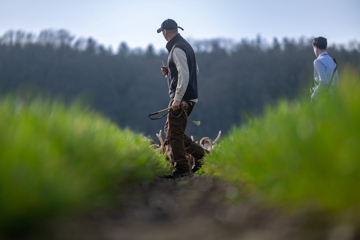 The Stoic Terrierman tweet media