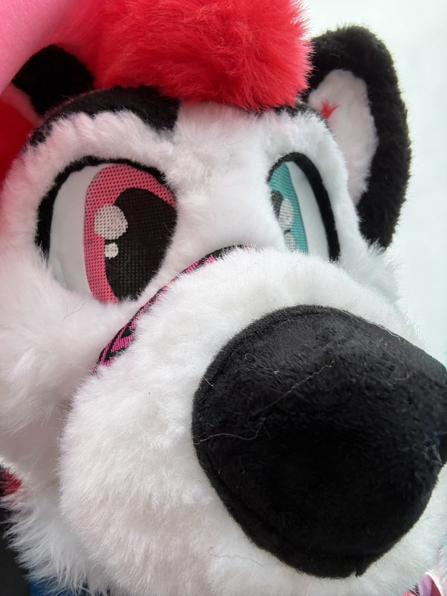 ADA 🔜 CFZ tweet media