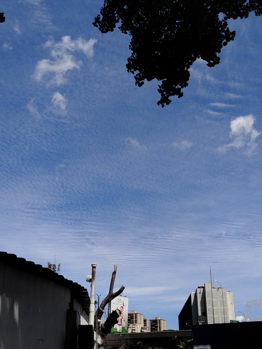 papi afro🐉 tweet media