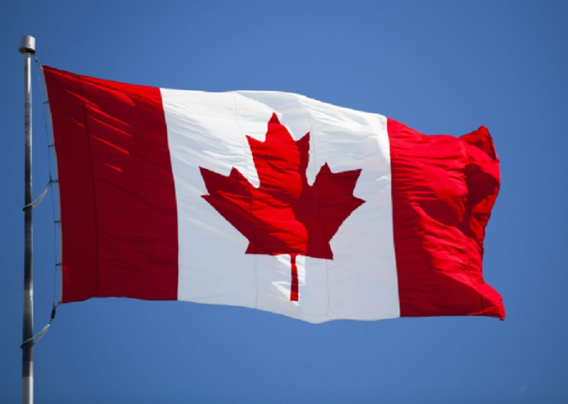 Global Dissident tweet media