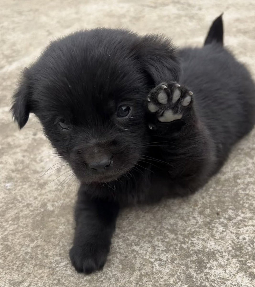 ven 𓃴 #girlbobtwt tweet media