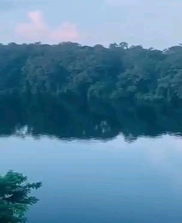 ONGWISA Sam tweet media