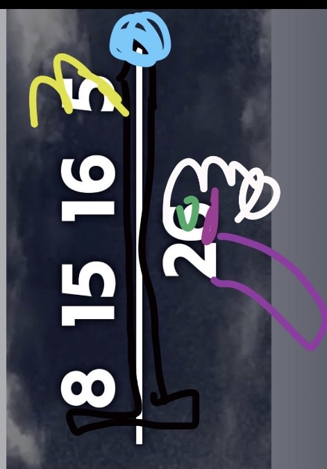 FITZ 👑🐒 tweet media