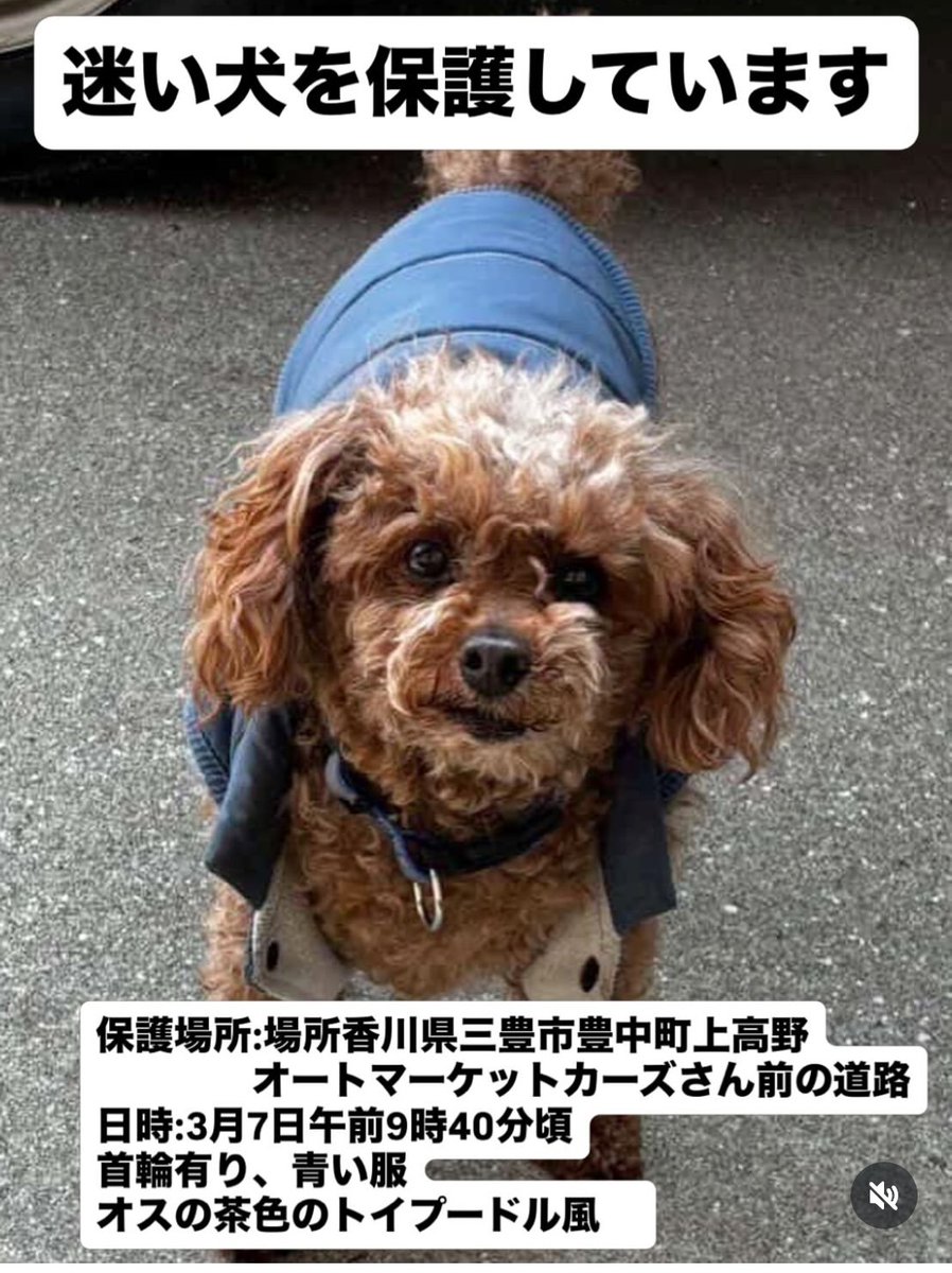 動物愛護団体 縁-en- tweet media