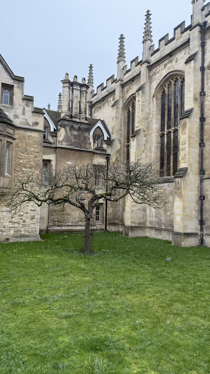 Prof.Dr.Levent Eraslan tweet media