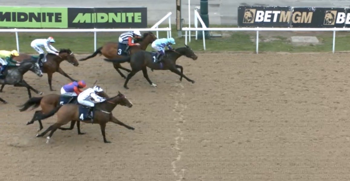 the racing newsletter tweet media