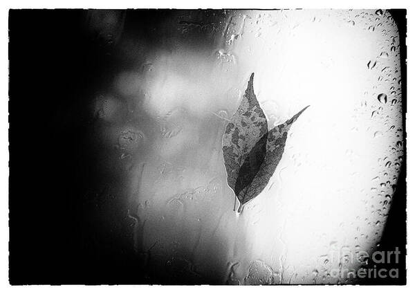 TLawren37609829's tweet image. I was turning left on a rainy day and was struck by the heart shape on my car window. fineartamerica.com/featured/turni… #raining #heartshaped #buyintoart #art #wallartforsale