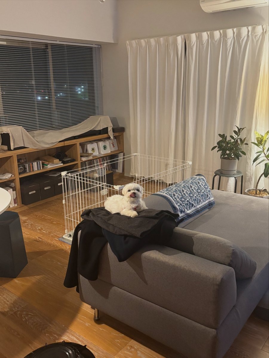 もじゅ tweet media