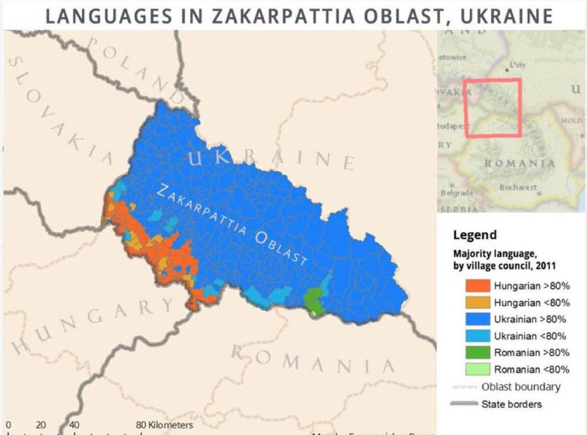 Bozwy 🕊️ tweet media