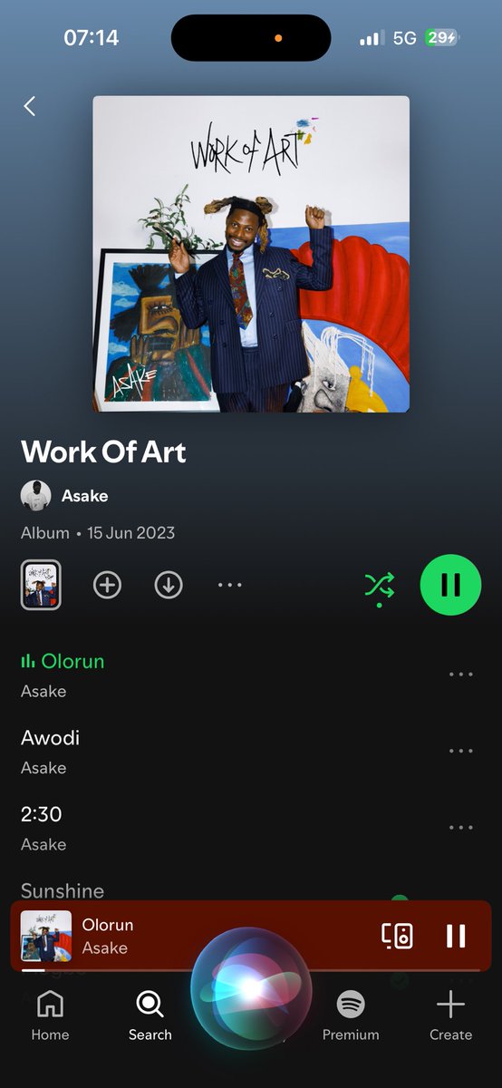 Work of Art” might actually be Asake’s best album.

No skips.⭐️🪖🔥