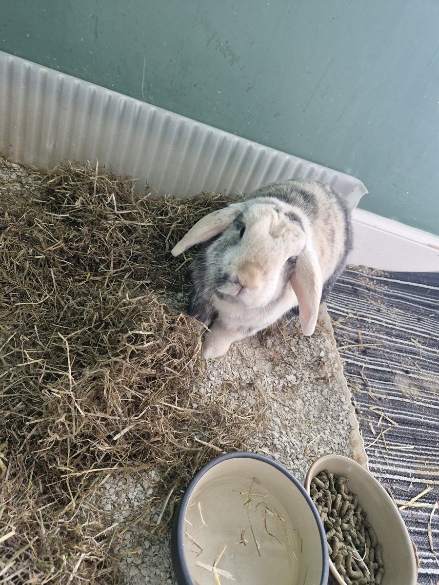 out getting drinks tweet media