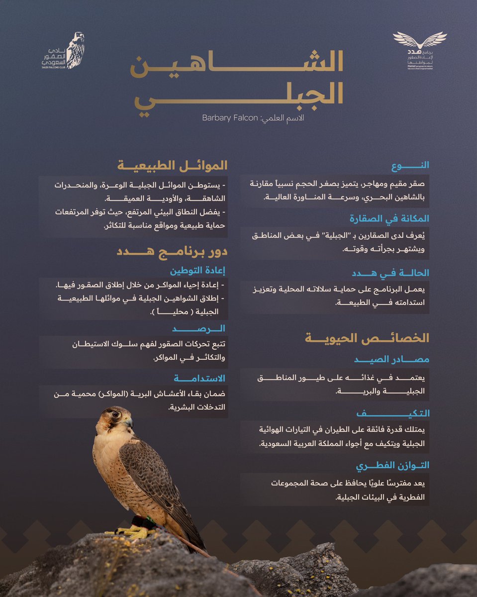 برنامج هدد | Hadad Program tweet media