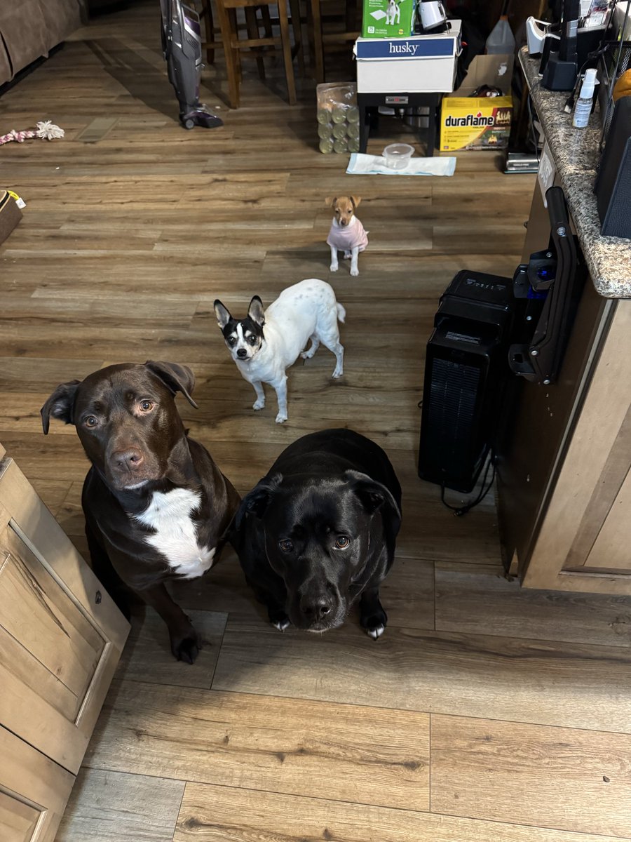 Roxanne Wellenstein tweet media