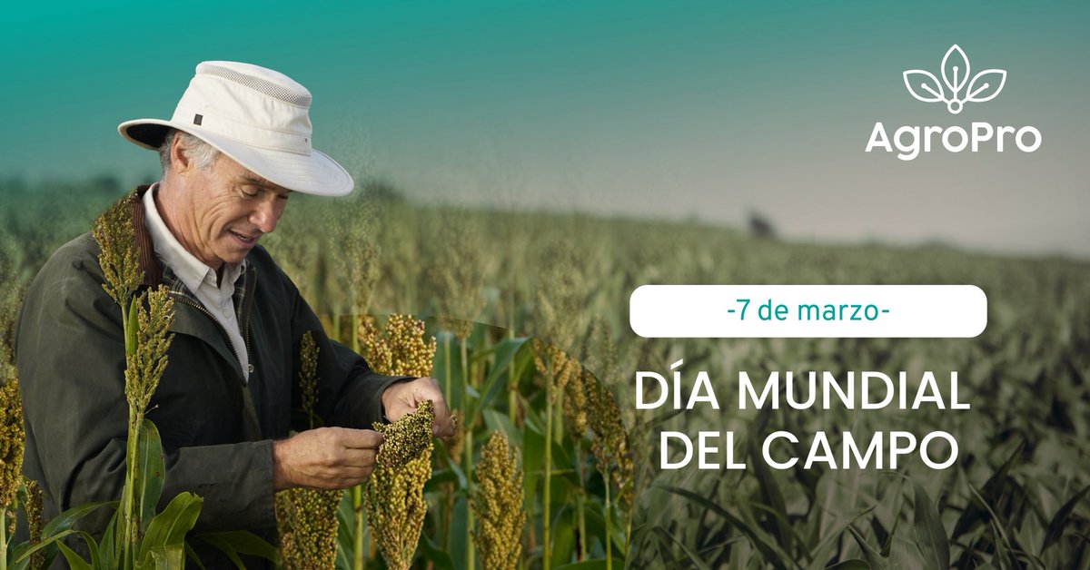AgroPro Campo tweet media