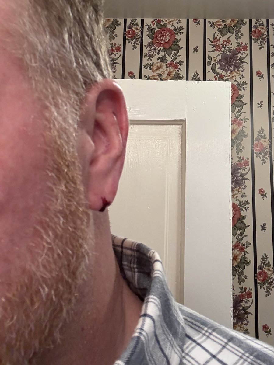 Bulldog 🏈 🇺🇸 tweet media