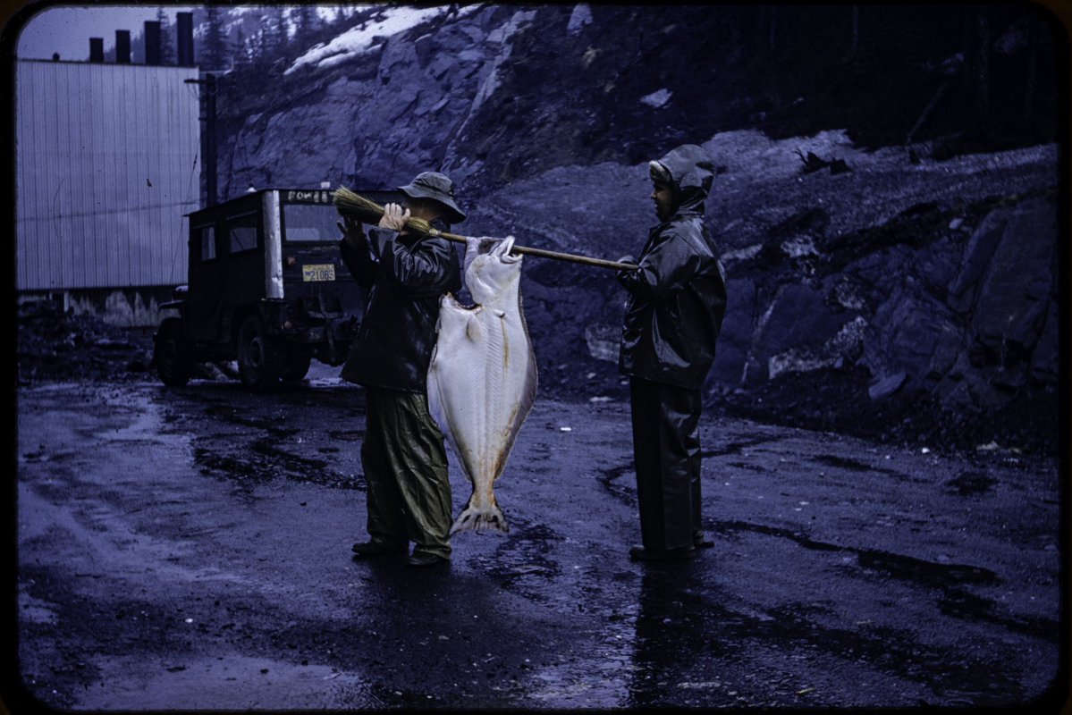 Oliver Dahl tweet media