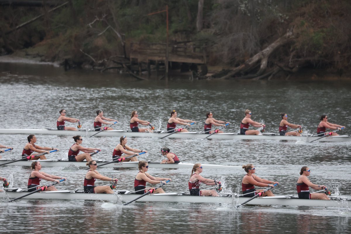 Alabama Rowing tweet media