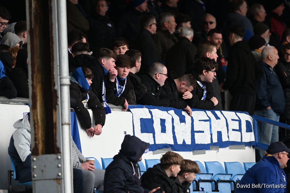 David Bell tweet media