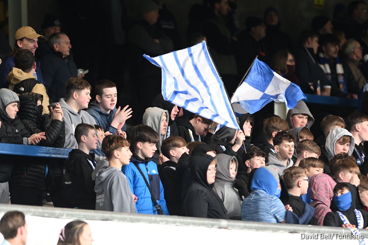 David Bell tweet media