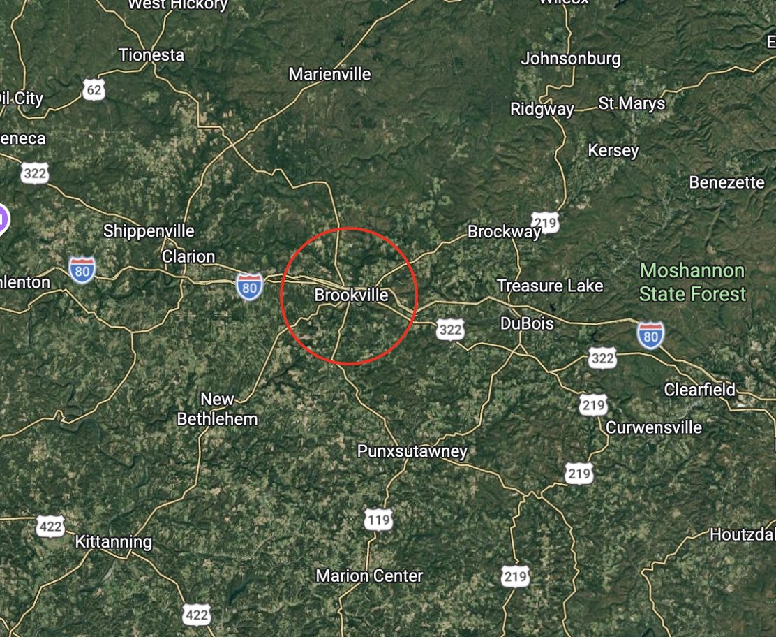 Sam Brandt tweet media