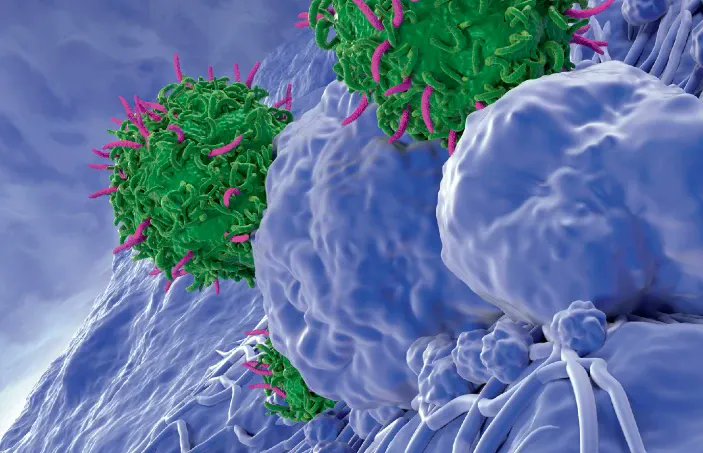 EricTopol's tweet photo. "Exploiting Lessons from Cancer's Mirror Biology"
An exhilarating movement with much more to come
https://t.co/KQLBveWw4N https://t.co/6ndsxNOxrd