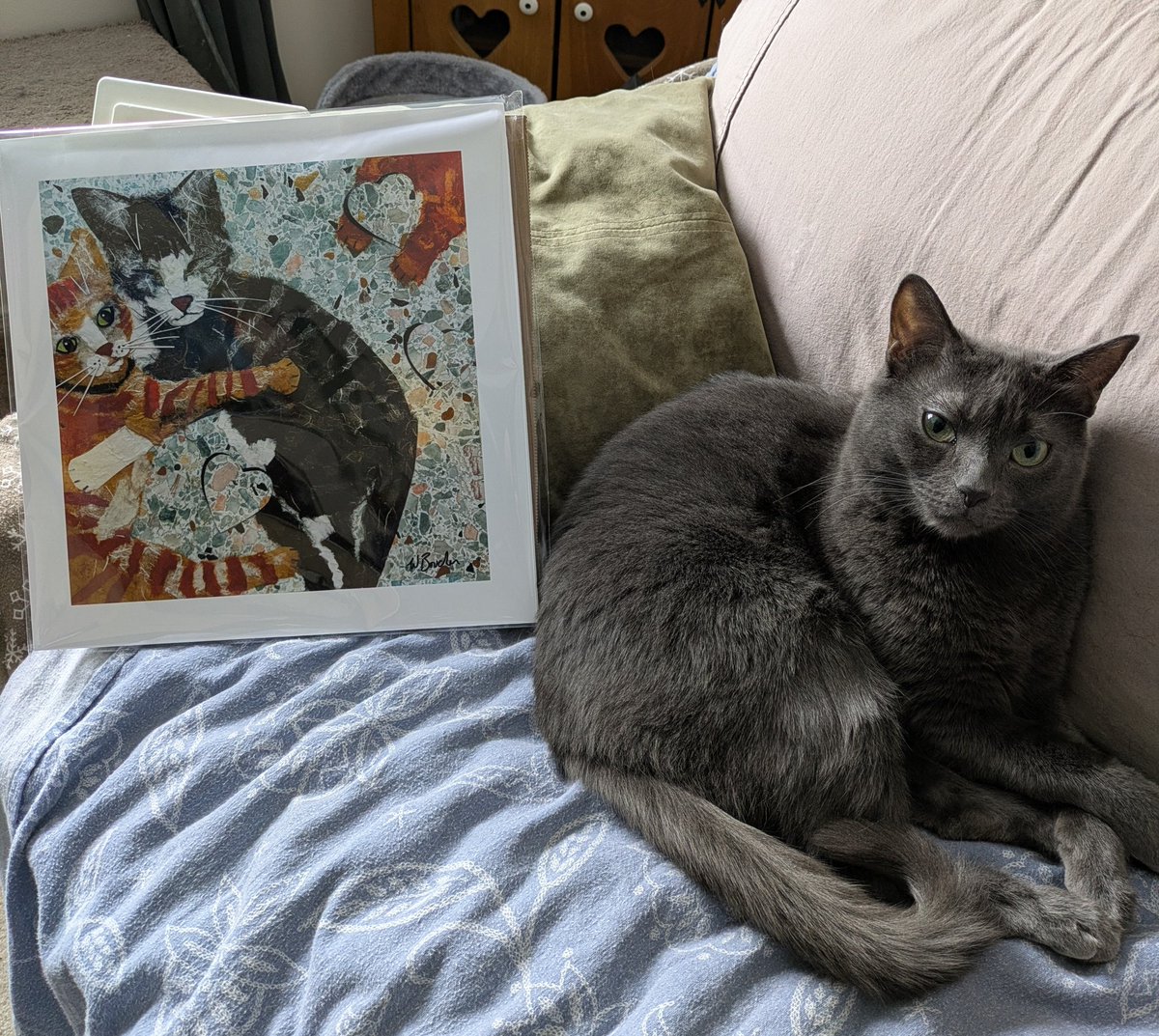 JodesJots's tweet photo. @lolamatt47 @AdventurePants5 @reinosoj2 Thanks so much for the wonderful raffle prize that arrived yesterday 💛. Both boys approve and think it's them! 
#LifeWithAngus
#LifeWithRicky https://t.co/j6B1ephopo