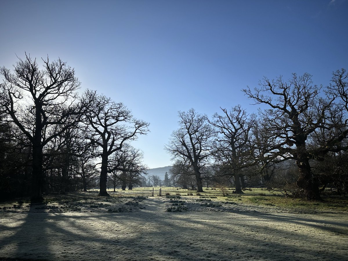 Tom Scott tweet media