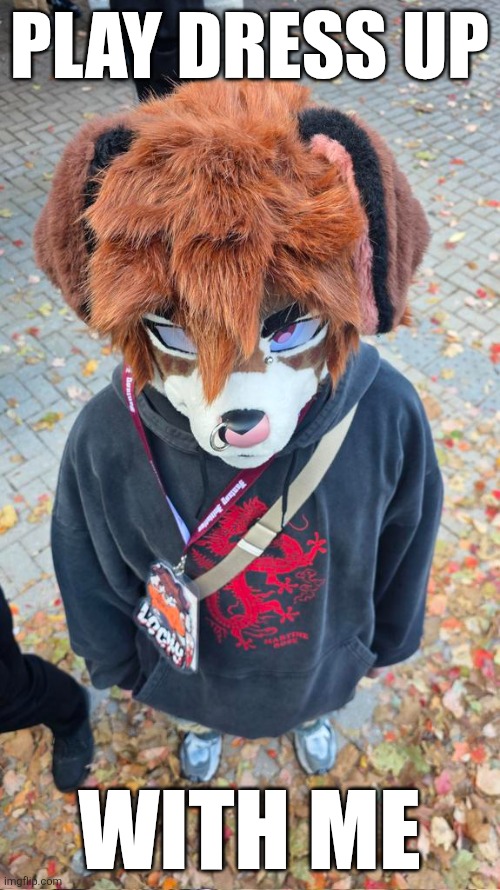 Ryzoluca tweet media