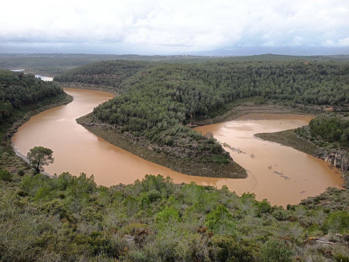 Jordi Rovira tweet media