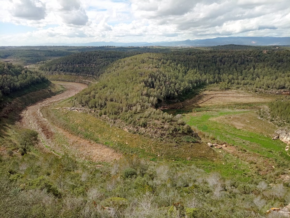 Jordi Rovira tweet media